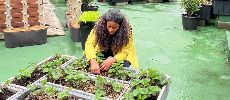Agro Favela — programa do ecossistema G10 Favelas em ação